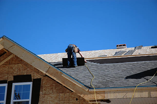 Best Roof Gutter Cleaning  in Brandenburg, KY