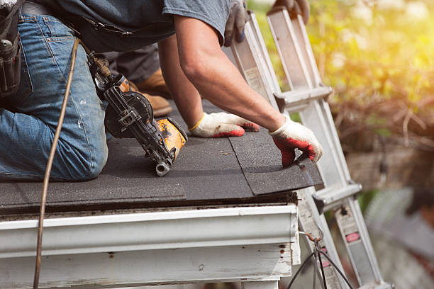 Best Storm Damage Roof Repair  in Brandenburg, KY